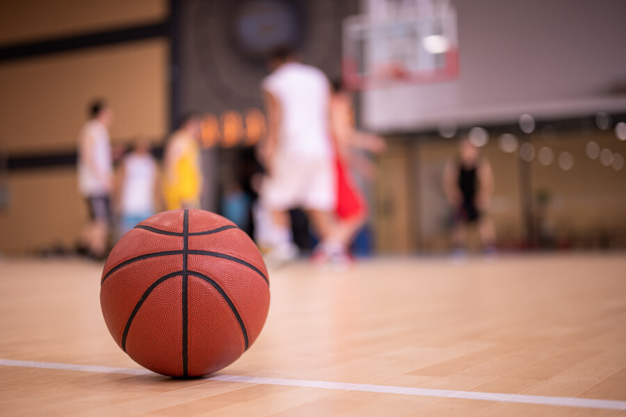 m6体育在线登录入口