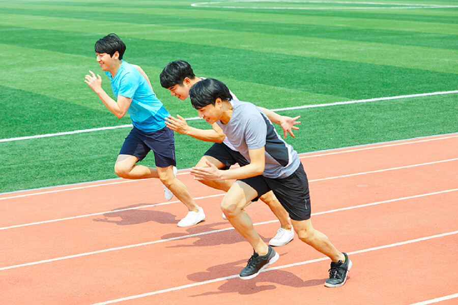 m6体育在线登录入口