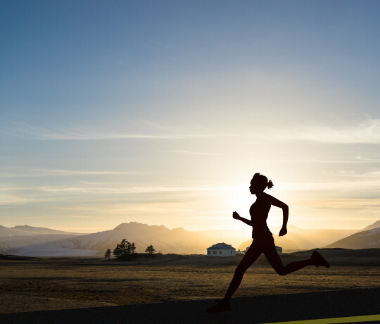 m6体育在线登录入口