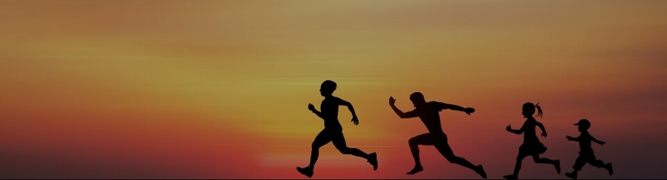 m6体育在线登录入口